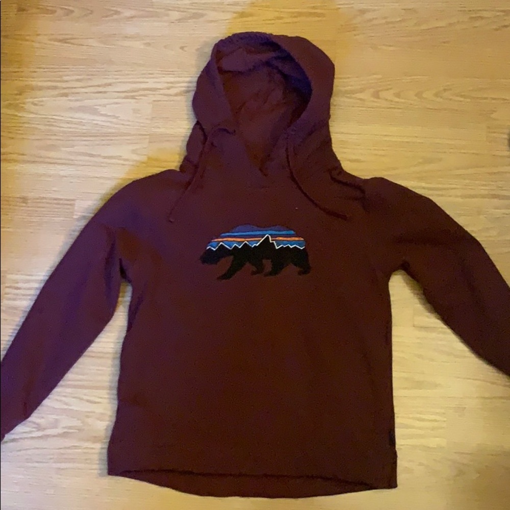 Patagonia sweatshirt worn 10 times